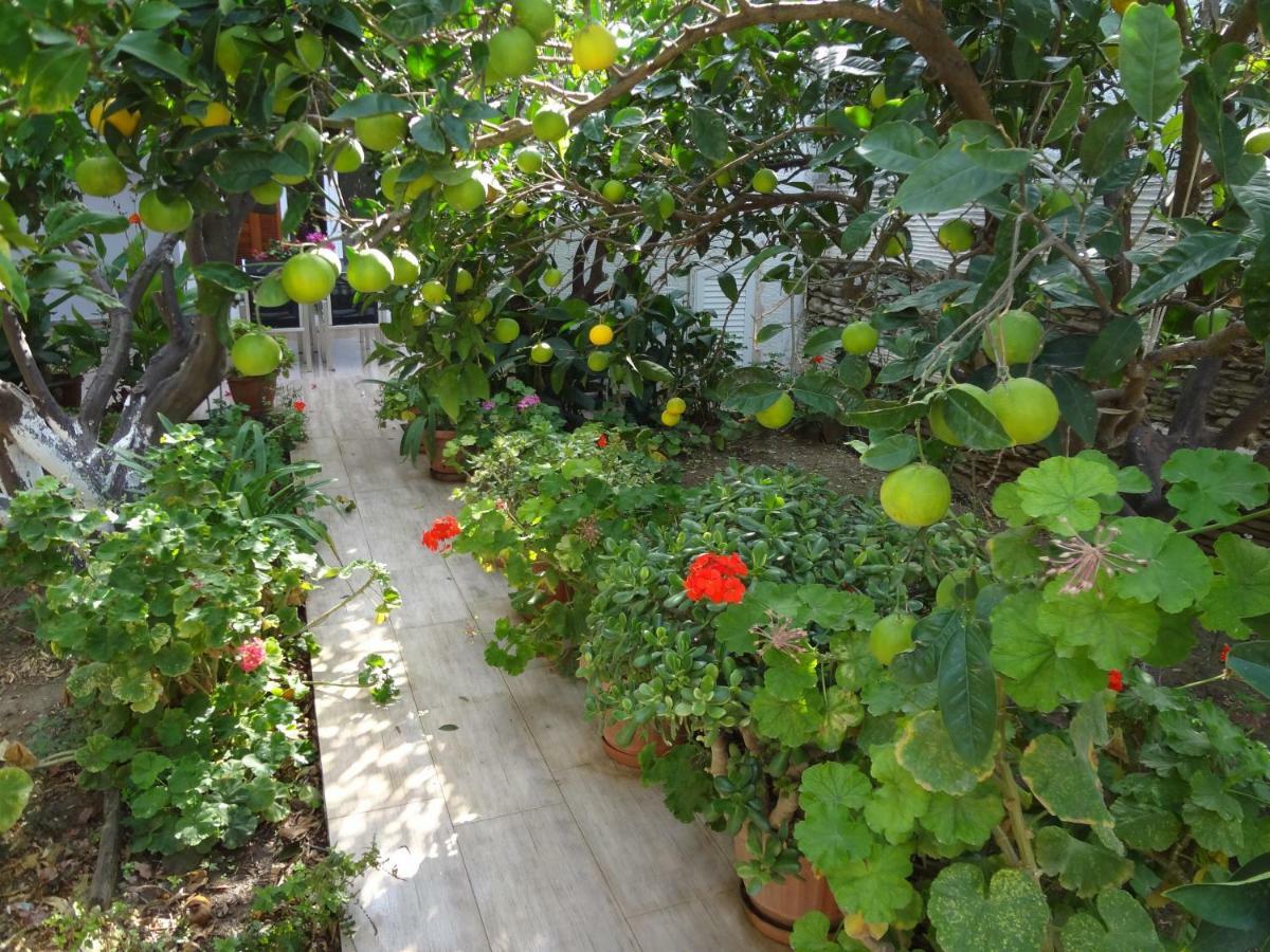 Cozy Citrus Garden House By The Seaside. Villa Chones Exterior photo